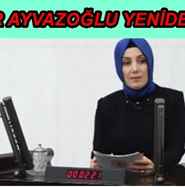 16804256725608851