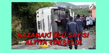 YY