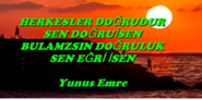 yunus