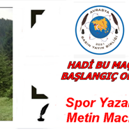 en son metin