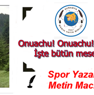 meti