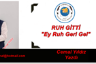 cemal port