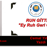 cemal port
