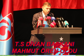 DB