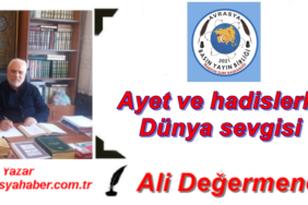 ali abi