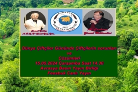 Program görsel