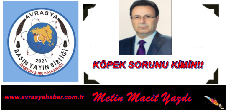 KÖPEK SORUNU KİMİN!!