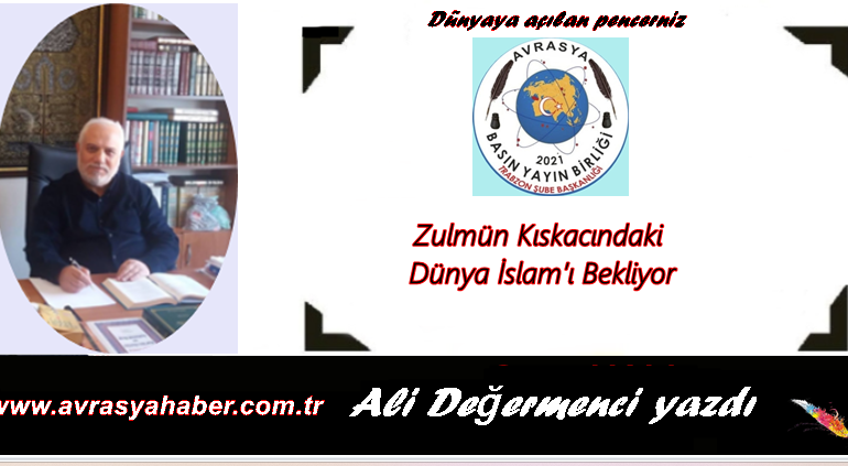 Ali Değermenci yeni