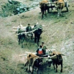 IMG-20260531-WA0110