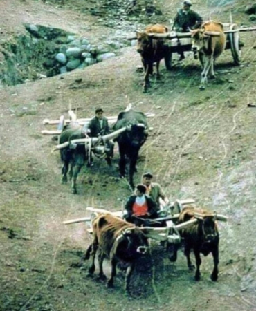 IMG-20260531-WA0110
