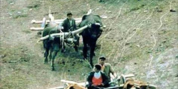 Trabzon Muhacirliği: Acının, Fedakârlığın ve Unutulmayan Bir Tarihin İzleri