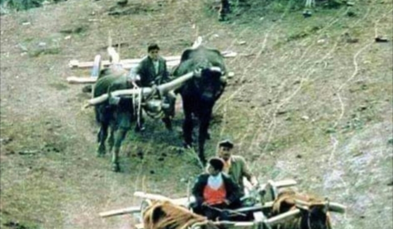 IMG-20260531-WA0110