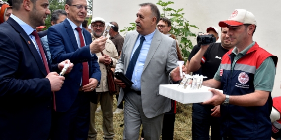 Bugün Trabzon Akyazı’nın tarihi kalcıoğlu mahallesinde Mükemmel bir tören ile Samuray arılarını fındıklığa bıraktık ve helvasını bile yedik artık kokarcanın kökü kesilecek.